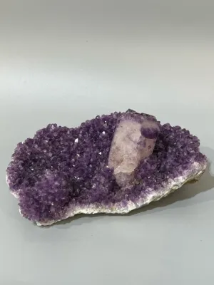 Amethyst Geode with Quartz