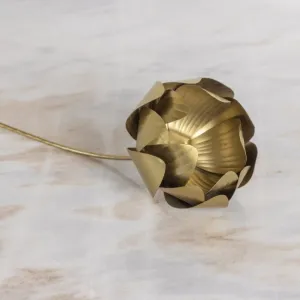 Botanical Stem, Peony