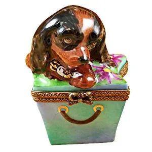 Brown Spaniel in Package