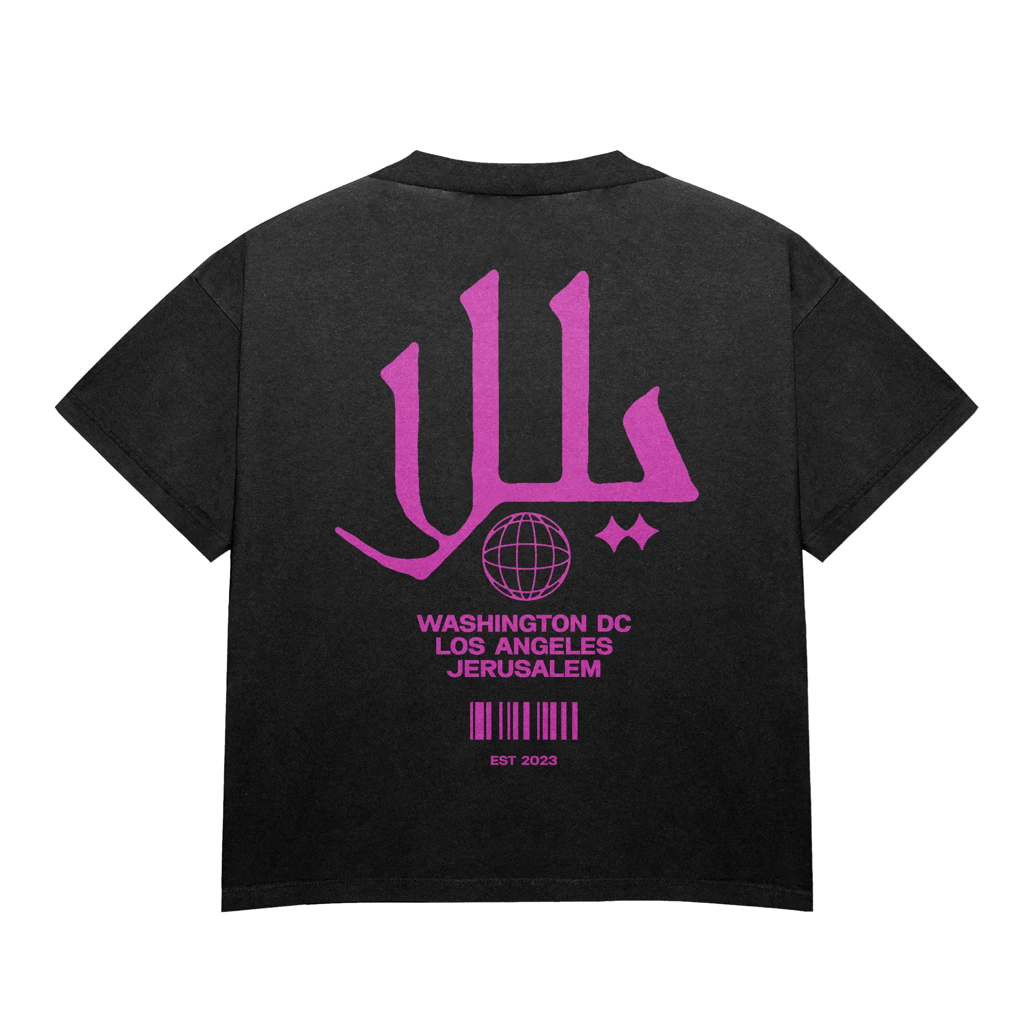 Coal Palestine Graphic Tee