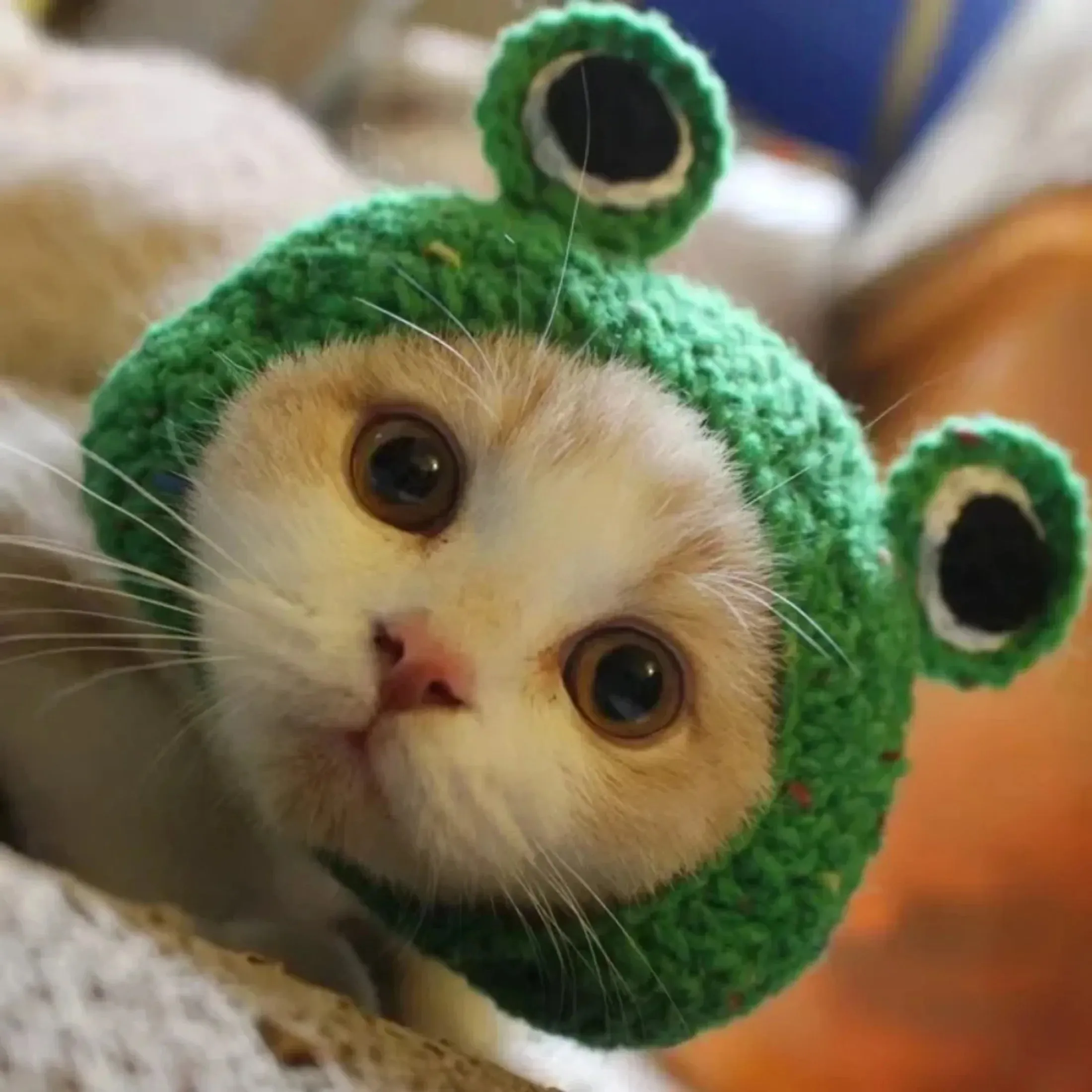 Cosplay Costume Hat