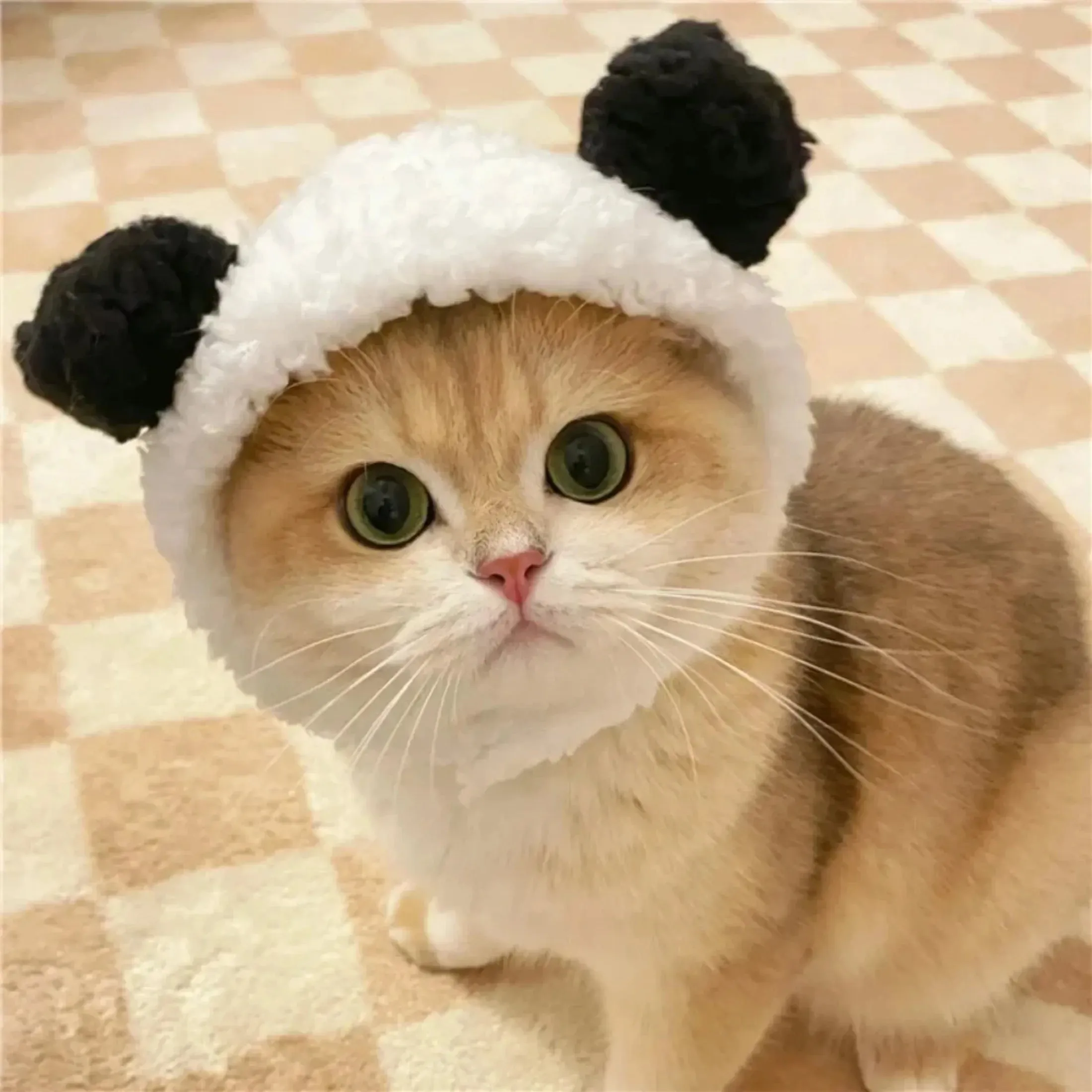 Cosplay Costume Hat
