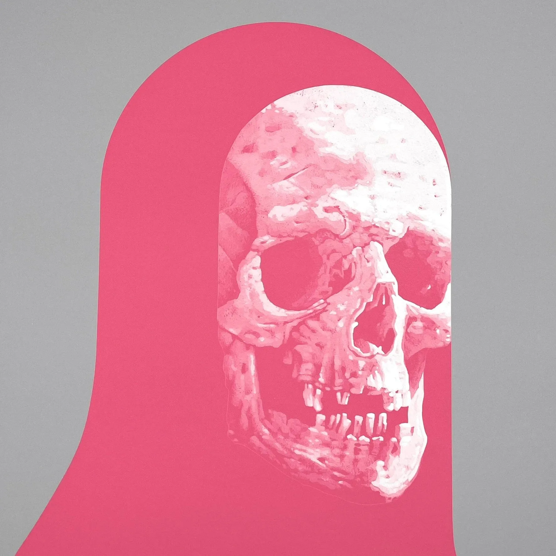 Cyber Bandit #4737 (Unique)
