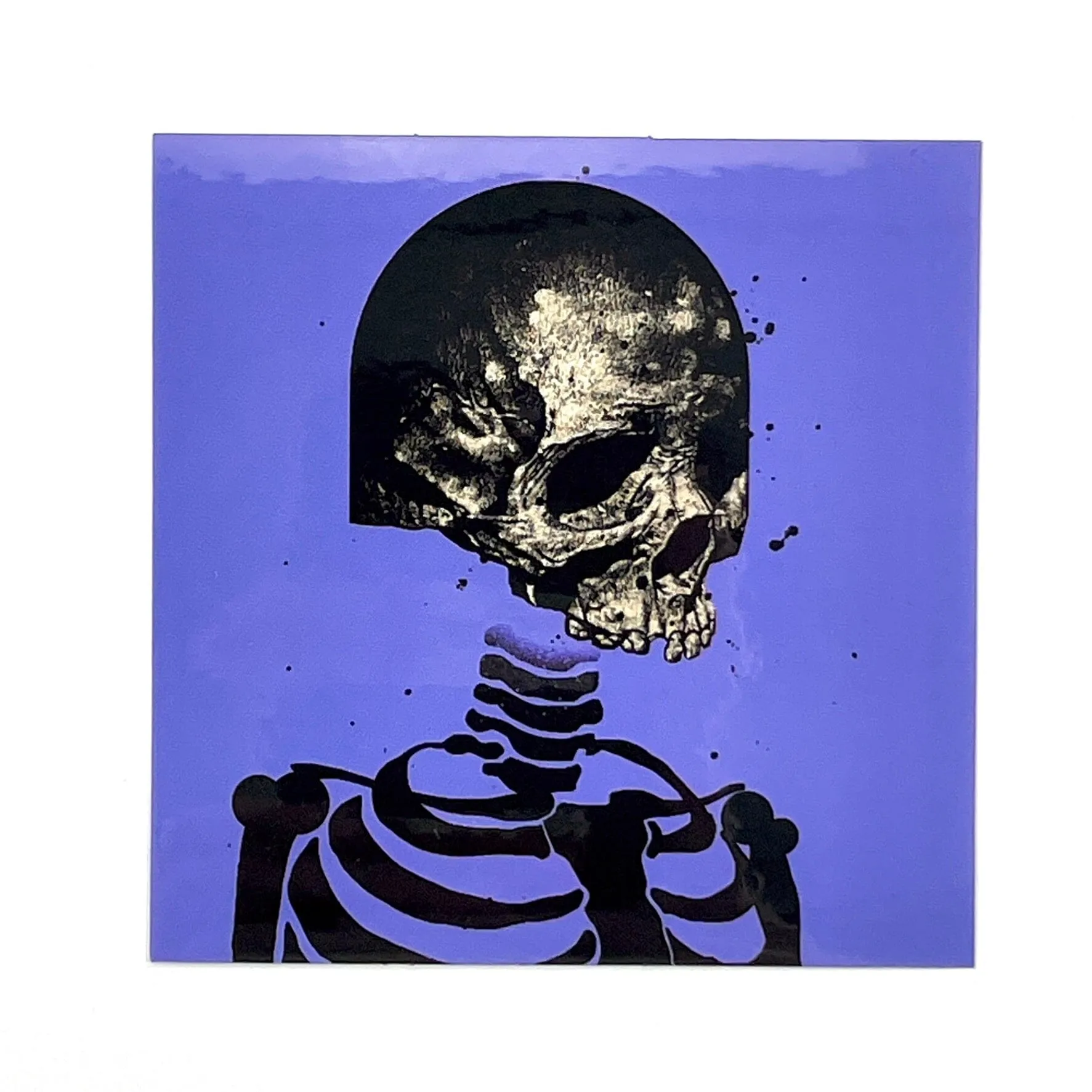 Cyber Bandit #4737 (Unique)