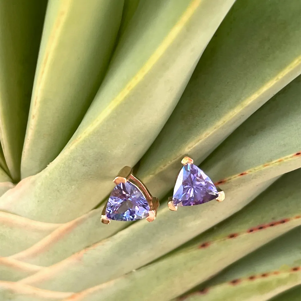 Delicate Rose Gold Trilliant Tanzanite Studs