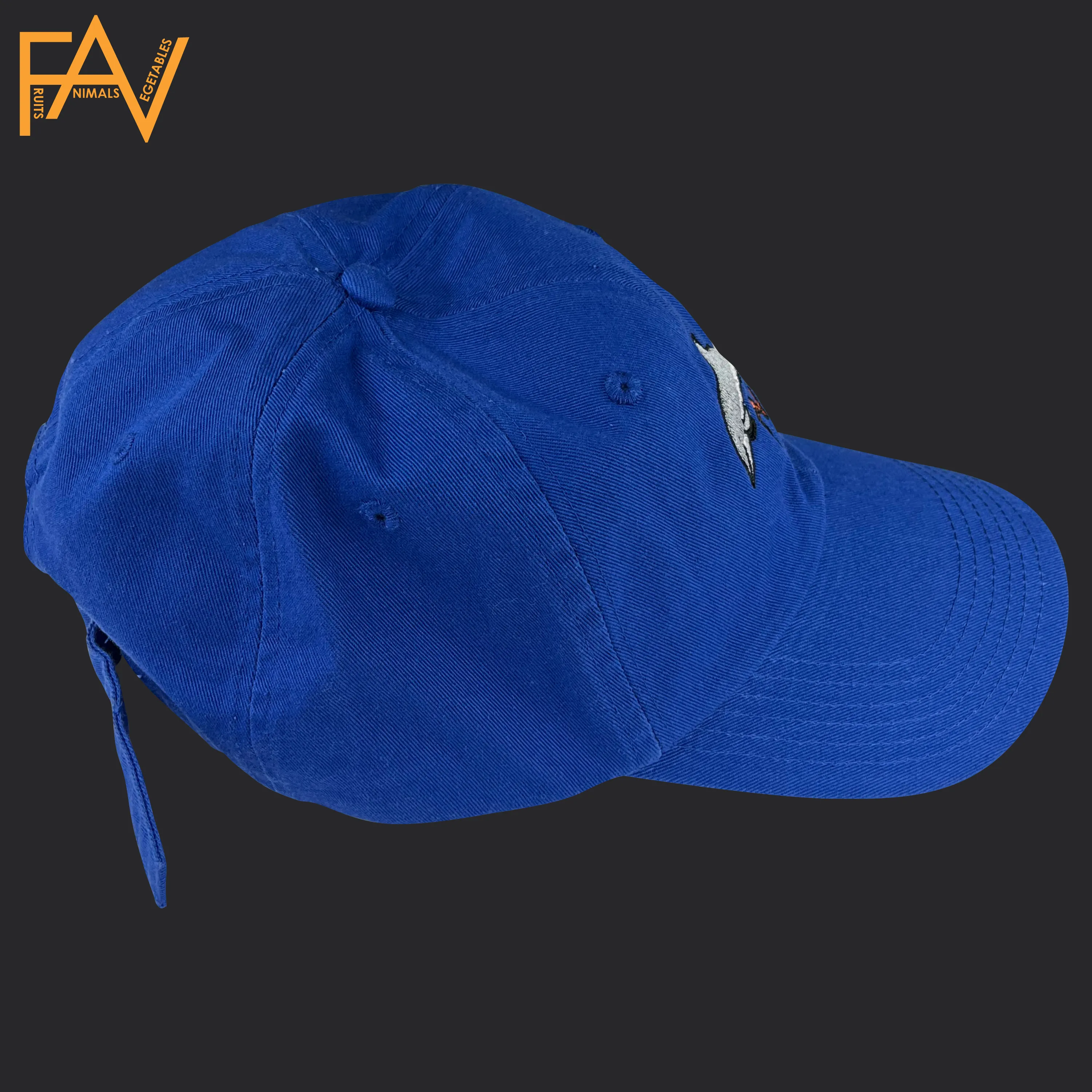 Dolphin - Blue Dad Hat