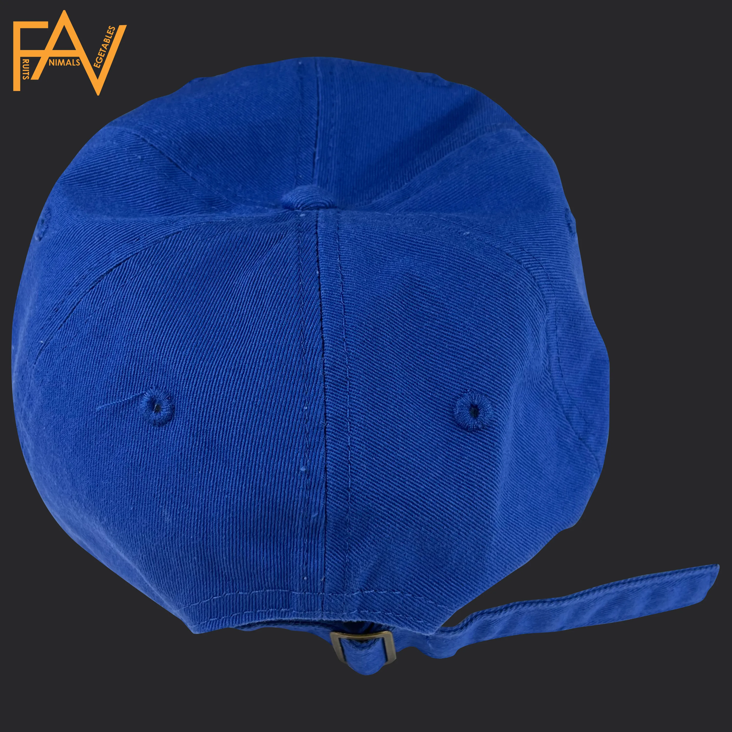 Dolphin - Blue Dad Hat