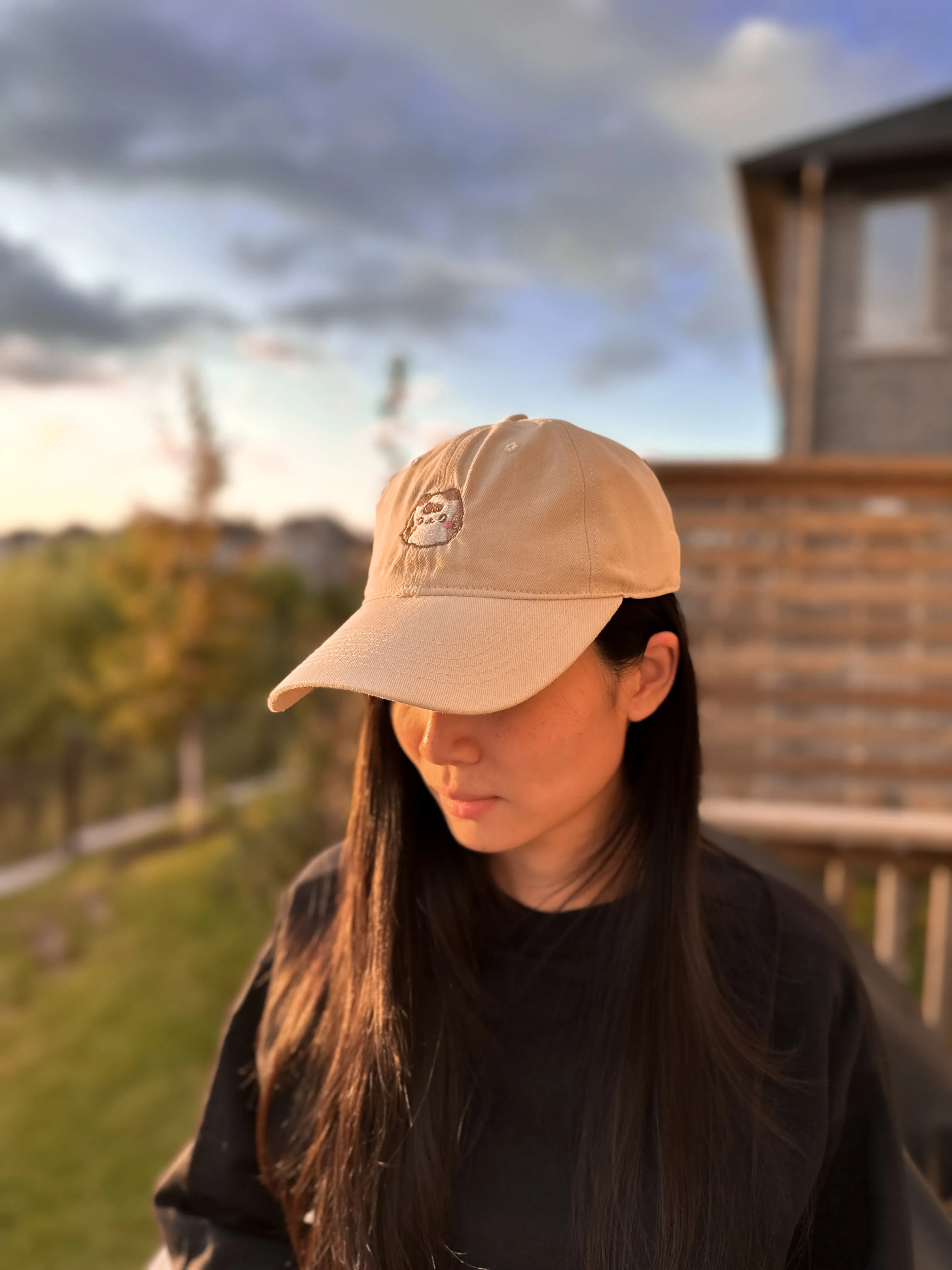 Embroidery Cap