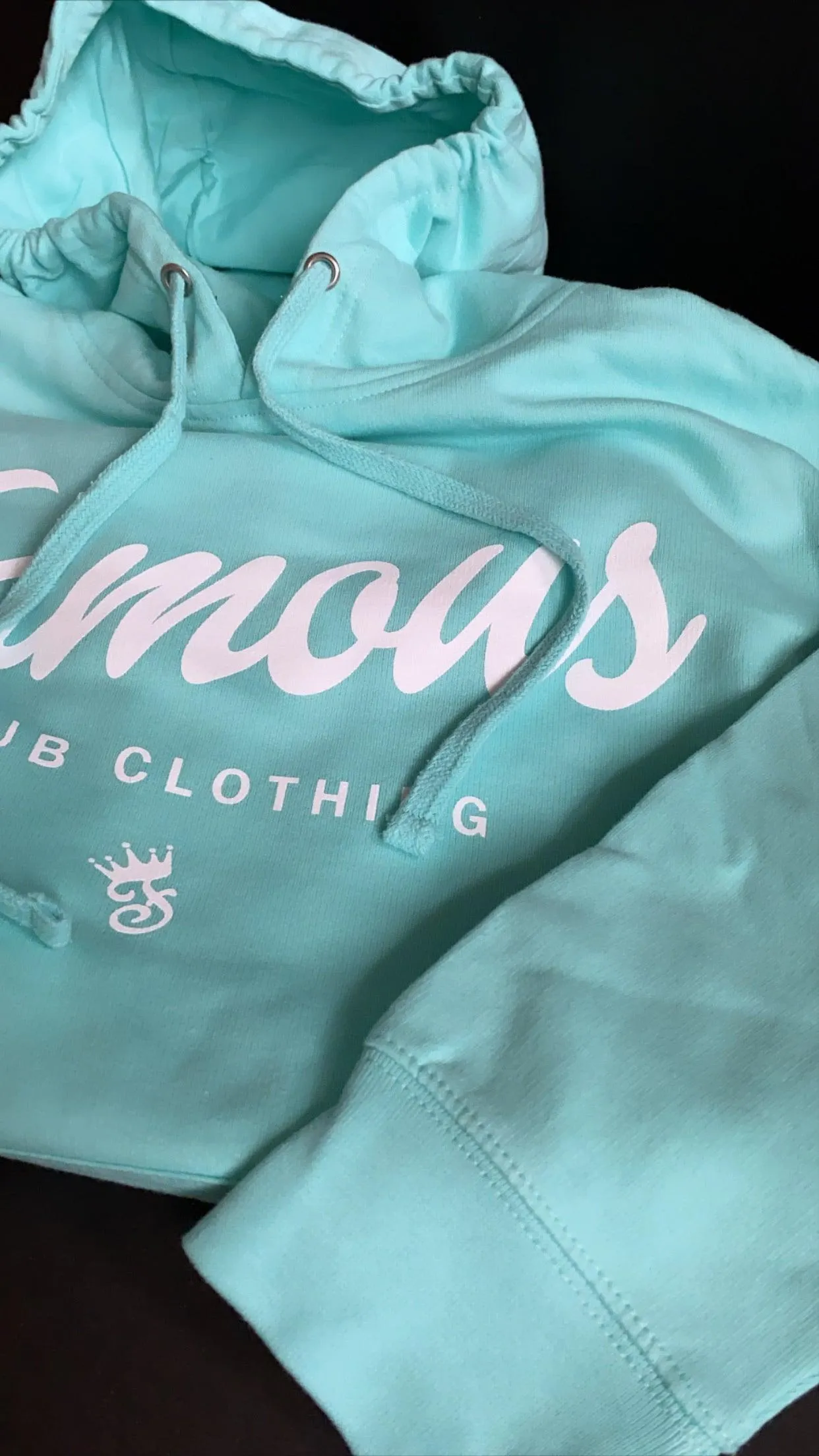 FAMOUS SCRIPT HOODIE (MINT)