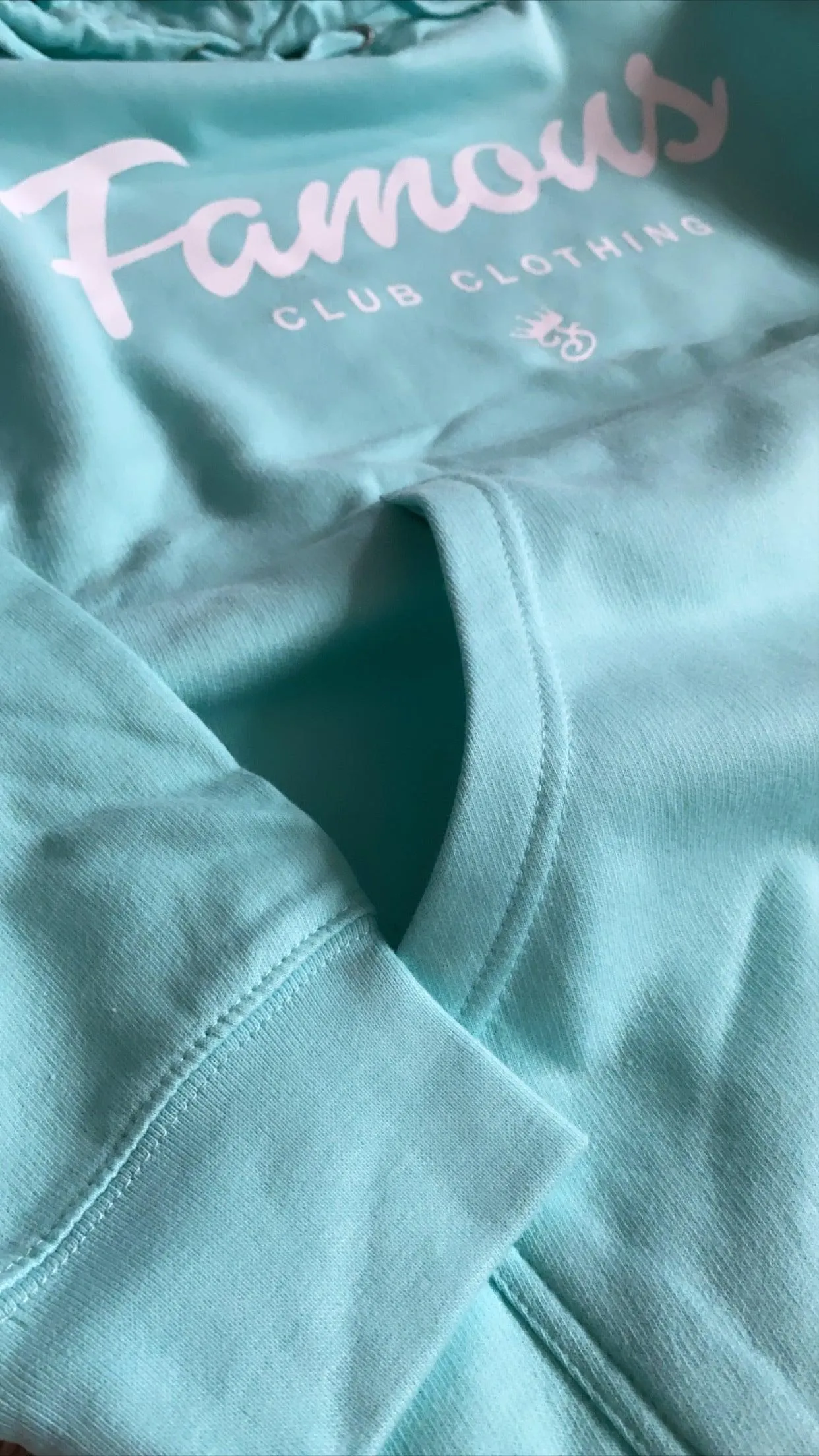 FAMOUS SCRIPT HOODIE (MINT)