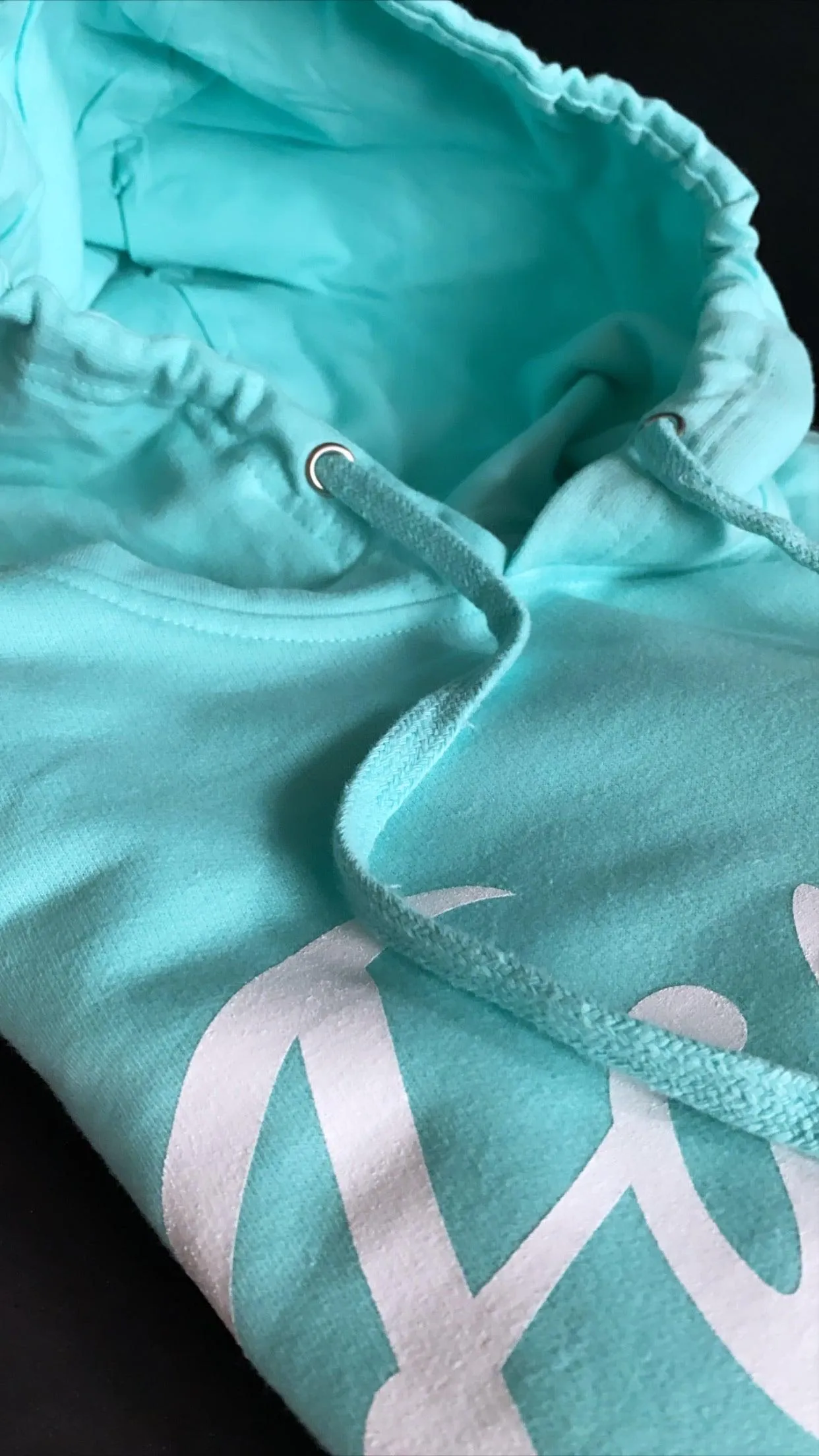 FAMOUS SCRIPT HOODIE (MINT)
