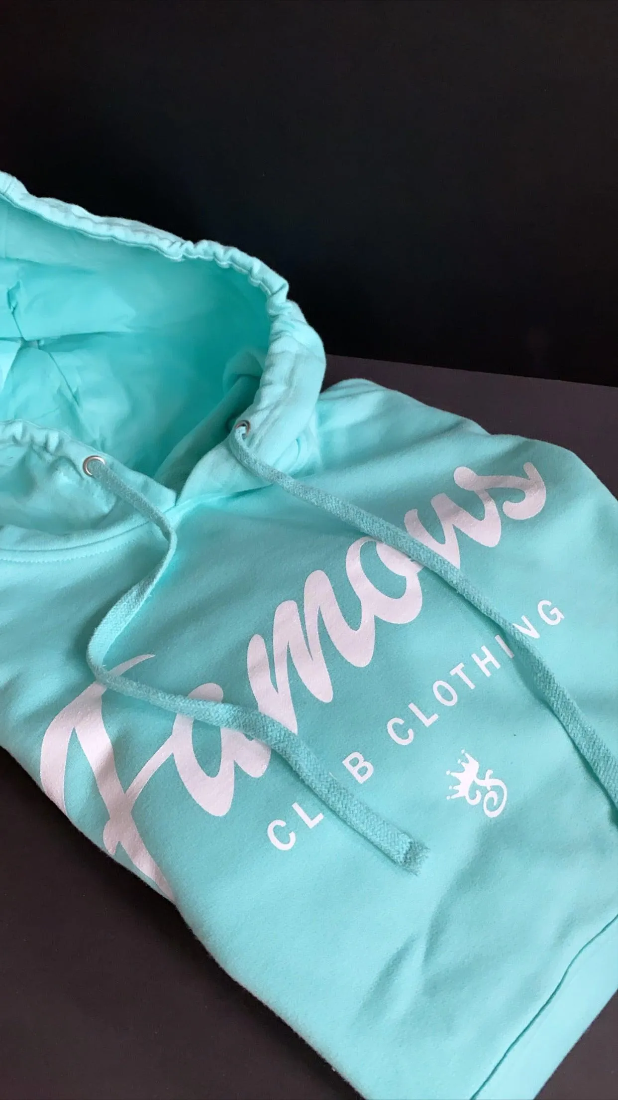 FAMOUS SCRIPT HOODIE (MINT)