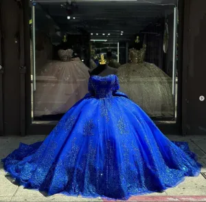 Royal Blue Sleeveless Appliques Ball Gown with Bowknot