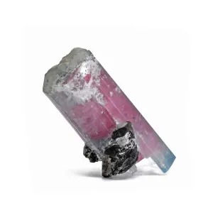 Tourmaline - Pink And Blue Watermelon Tourmaline Natural Double-Terminated Gem Crystal-Pakistan